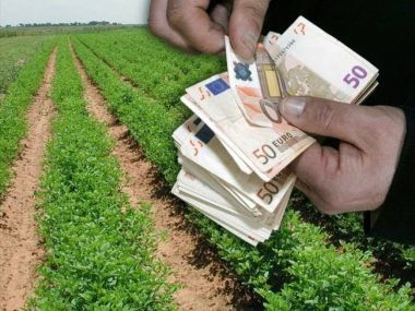 ΚΑΠ: Νέοι αγρότες, καινοτόμα προϊόντα και πράσινες καλλιέργειες παίρνουν τη…μερίδα ο λέοντος