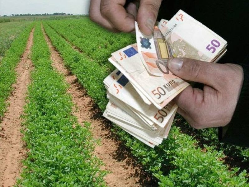 ΚΑΠ: Νέοι αγρότες, καινοτόμα προϊόντα και πράσινες καλλιέργειες παίρνουν τη…μερίδα ο λέοντος