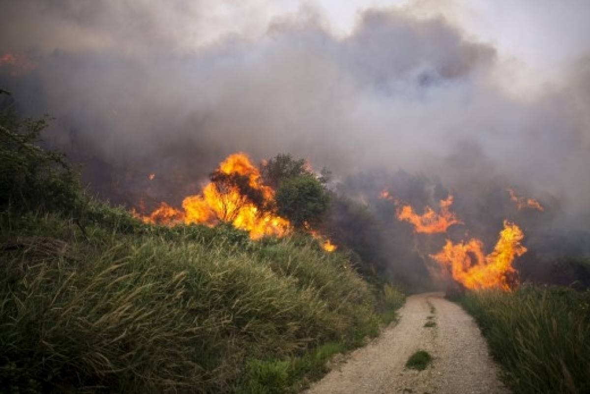 Σε εξέλιξη πυρκαγιά στον Κιθαιρώνα Αττικής