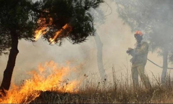 Ηλεία: Ολονύχτια μάχη με τις φλόγες, ενισχύονται οι πυροσβεστικές δυνάμεις