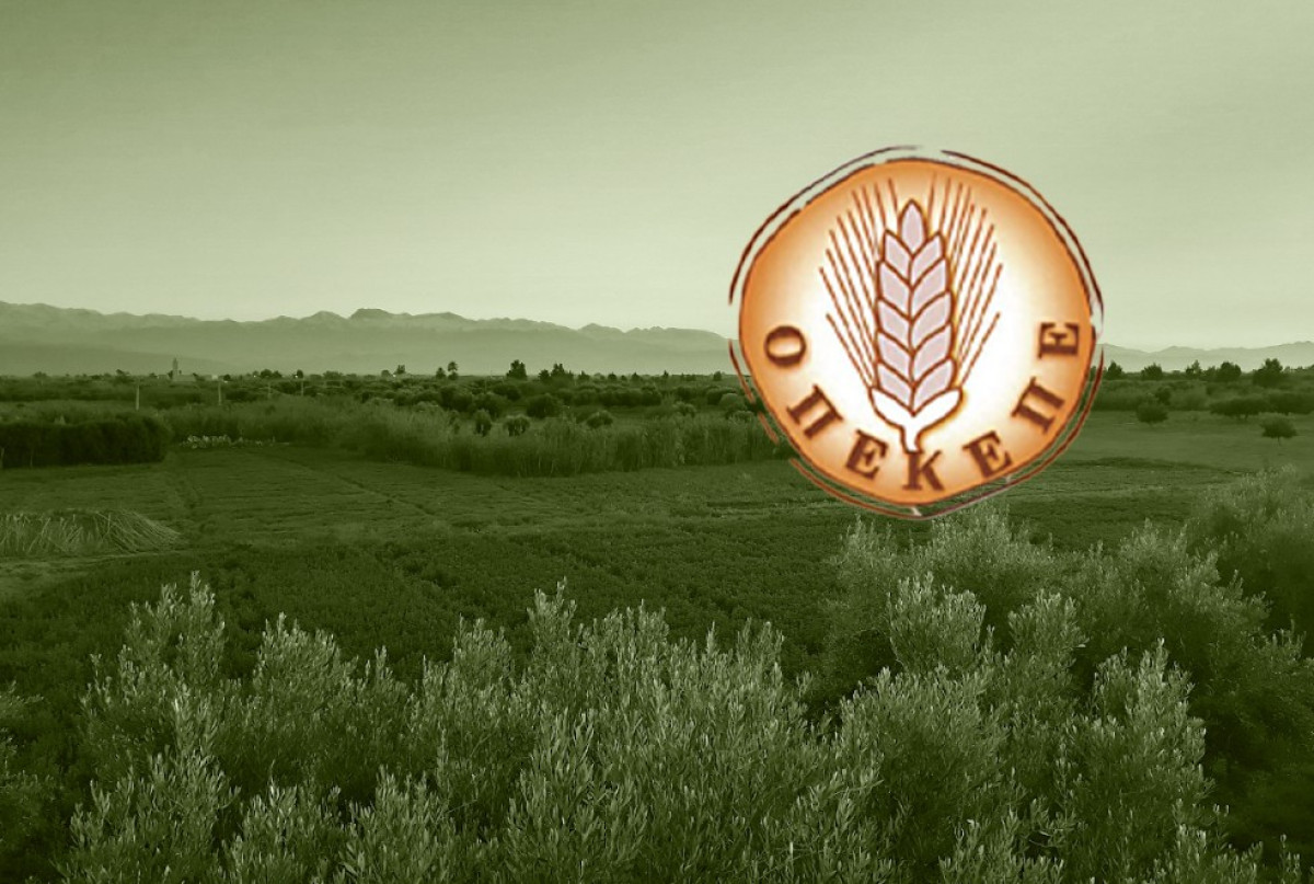 Δελτίο ΟΠΕΚΕΠΕ σε όλα τα ΚΥΔ: Αντιμετώπιση καλλιεργήσιμων εκτάσεων από φυσικές καταστροφές