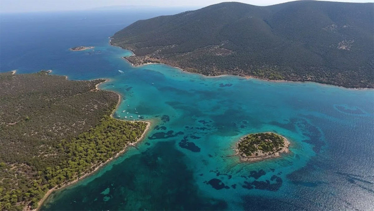 Grivalia: Βήμα βήμα προχωρά η επένδυση στους Πεταλιούς