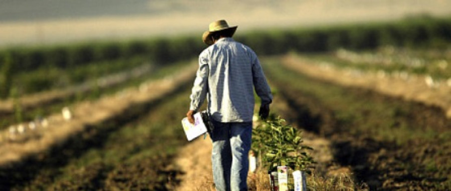 ΥΠΑΑΤ: Τροποποίηση των αποφάσεων για ecoschemes, βιολογική γεωργία και κτηνοτροφία