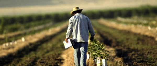 ΥΠΑΑΤ: Τροποποίηση των αποφάσεων για ecoschemes, βιολογική γεωργία και κτηνοτροφία