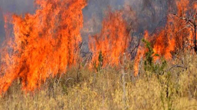 ΓΓΠΠ: Πολύ υψηλός κίνδυνος πυρκαγιάς την Κυριακή για έξι περιφέρειες