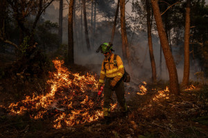 ΕΕ: Κινητοποιεί τους μηχανισμούς υποστήριξης καθώς οι πυρκαγιές εξαπλώνονται στην Ευρώπη