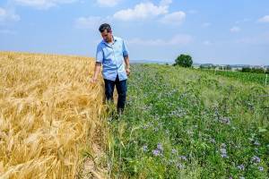 Bayer: «Μεταμορφώνει» τη βιομηχανία τροφίμων- Ενσωματώνει την καινοτομία στη γεωργία