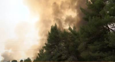 Φωτιά: Νέο μήνυμα για εκκένωση στη Δροσοπηγή