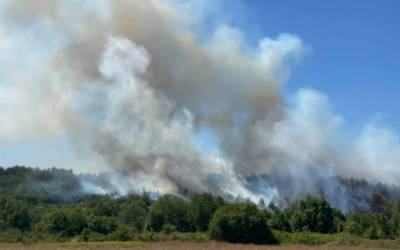 Ροδόπη: Πυρκαγιά σε δασική έκταση στην Νυμφαία