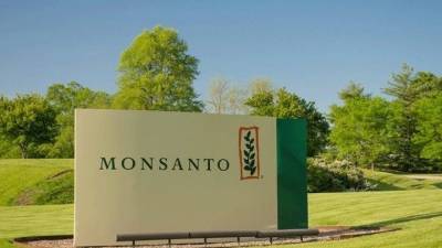 Monsanto: Χρησιμοποίησε παράνομο ζιζανιοκτόνο στη Χαβάη
