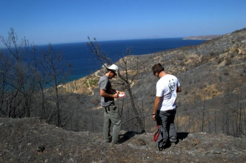 Πόσα στρέμματα γης κάηκαν το καλοκαίρι του '16;