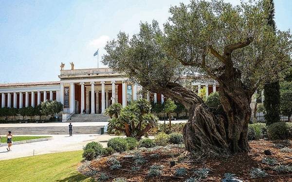 Όαση γίνεται ο κήπος του Εθνικού Αρχαιολογικού Μουσείου