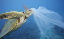 Δωρεάν πλαστική σακούλα... τέλος-Θεσπίζεται ανταποδοτικό περιβαλλοντικό τέλος