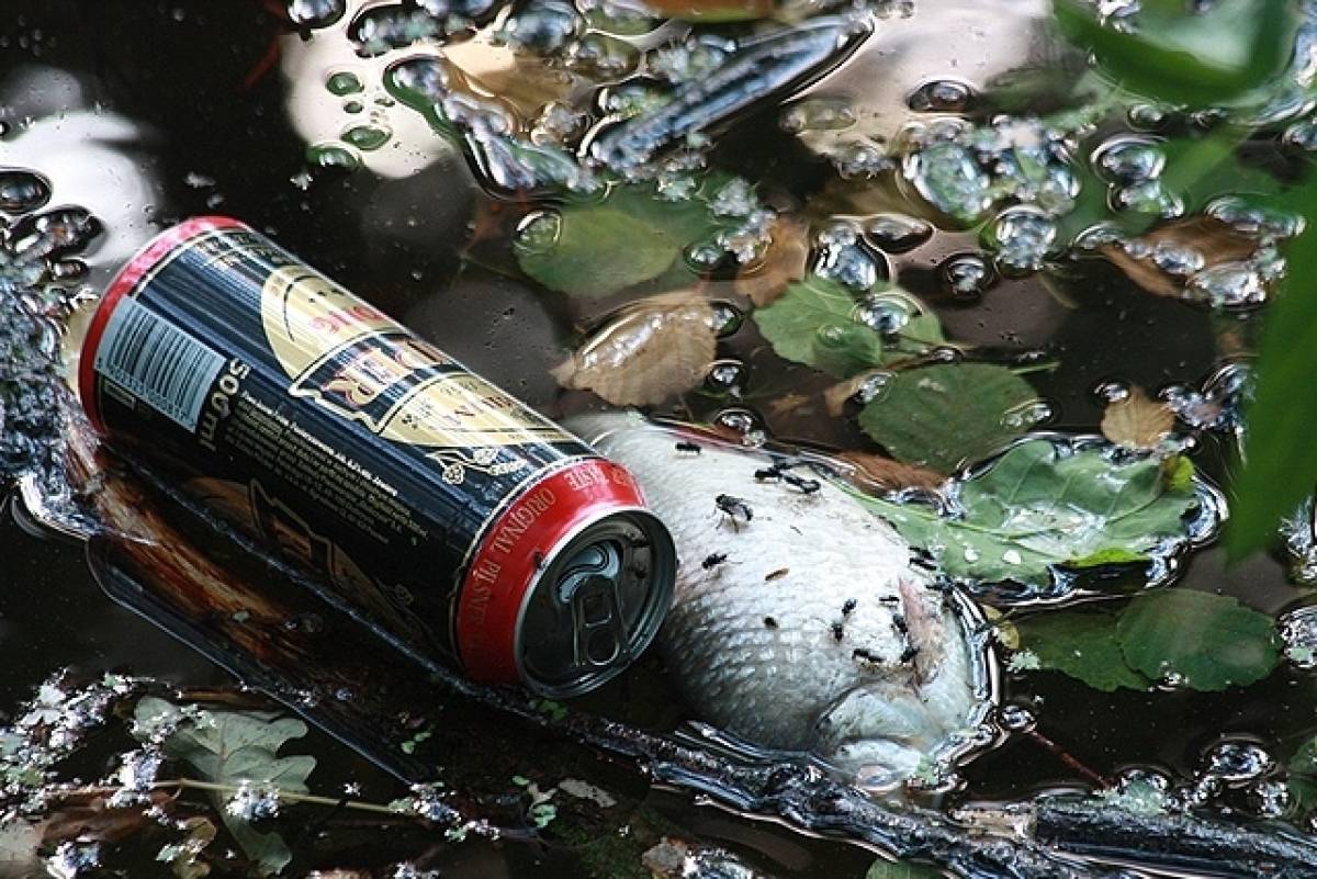 Αυτά είναι τα 10 πολυπληθέστερα απορρίμματα με τα οποία επιβαρύνουμε τη φύση