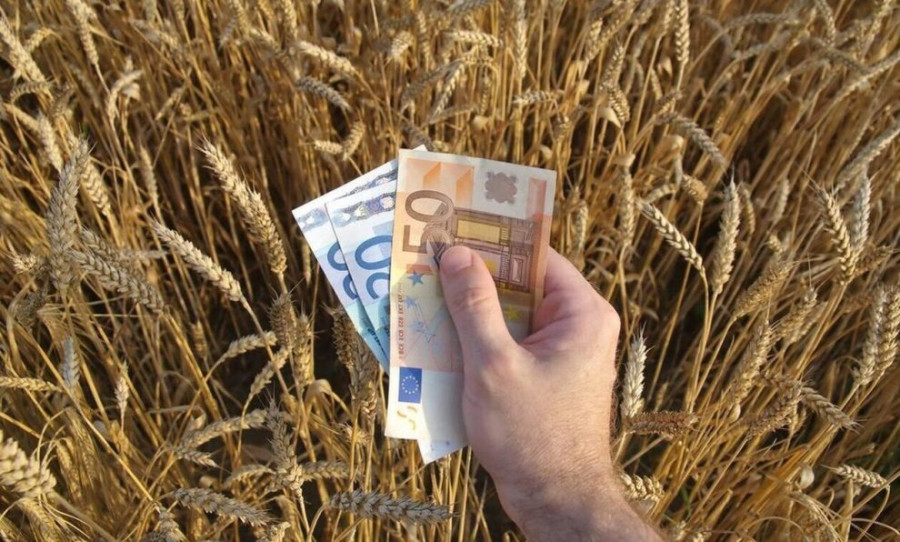 Ο ΟΠΕΚΕΠΕ ανοίγει την ενιαία αίτηση ενίσχυσης 2024