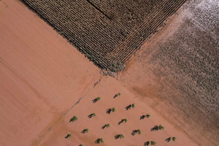 Το νέο τσουνάμι ακρίβειας ξεκινά από τα πλημμυρισμένα χωράφια