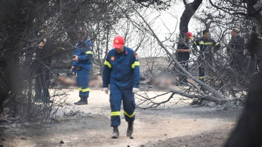 Ξεκινά η καταγραφή των ζημιών από την πυρκαγιά στον Κακόπετρο