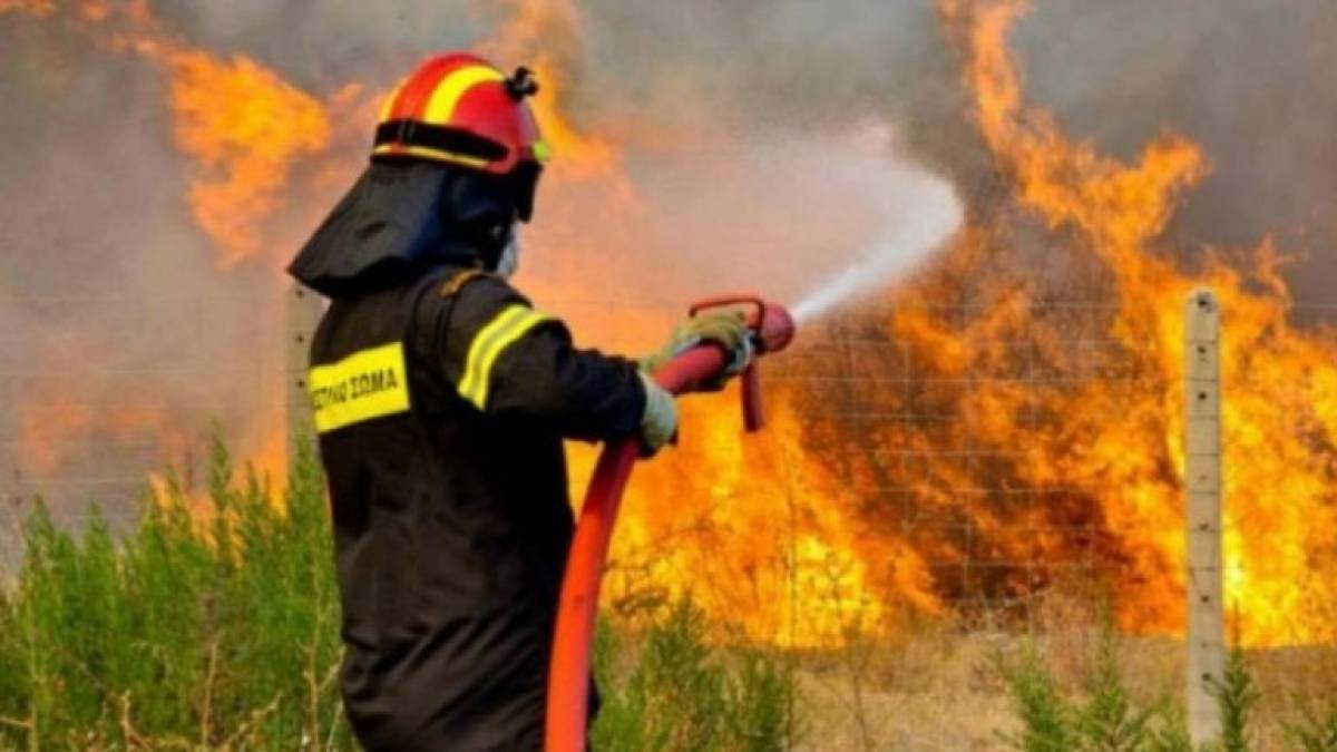 Πύρινα μέτωπα σε Ανεμοχώρι Πύργου και Αρχαία Ολυμπία