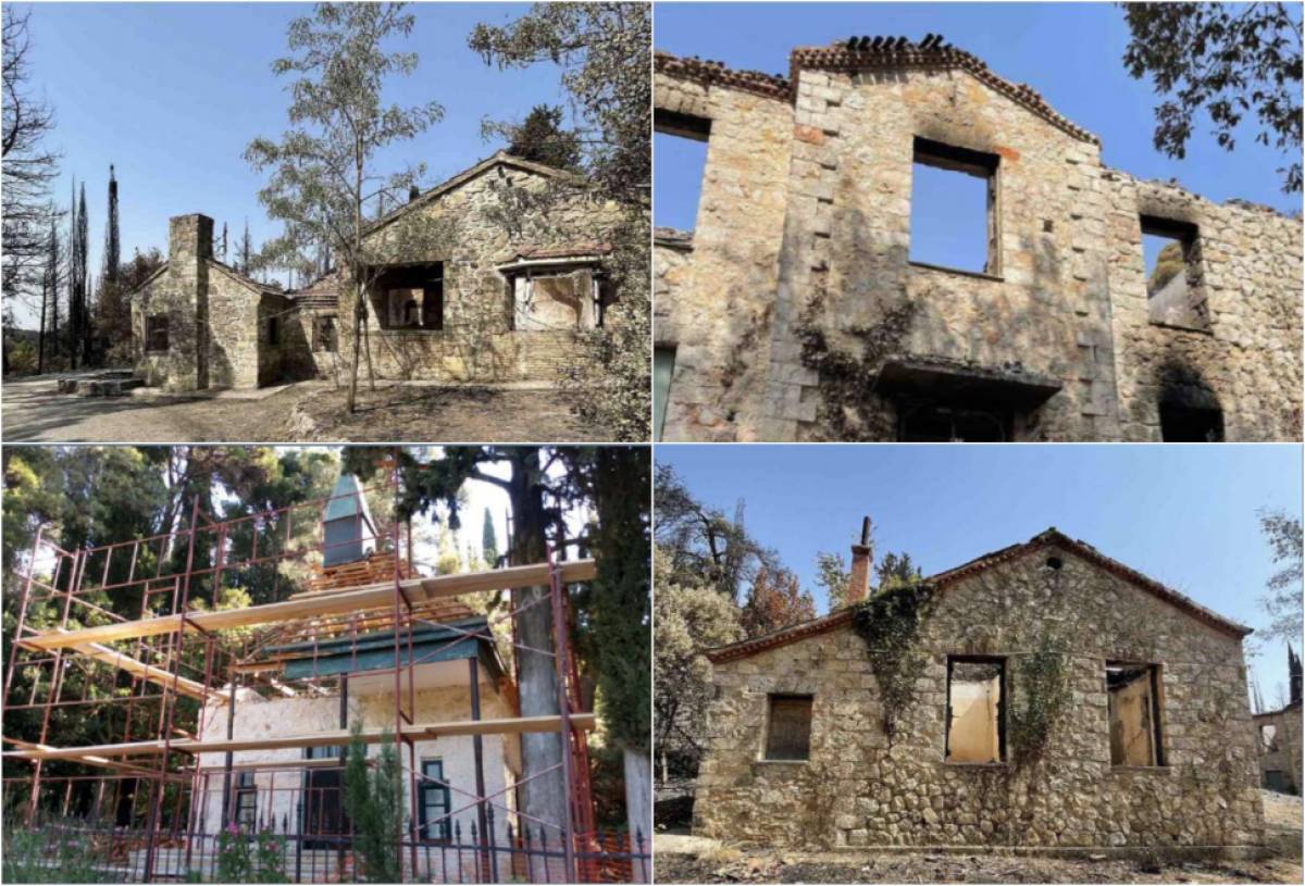 Ούτε γάτα ούτε ζημιά στο Τατόι;