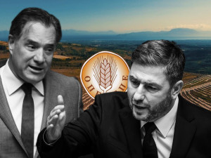 Μπρα ντε φερ Ανδρουλάκη-Γεωργιάδη στη Βουλή: «Υποδύεστε τις αθώες περιστερές» – «Είστε Τζίμη Τζαμπ» της πολιτικής