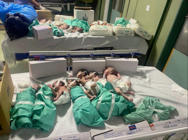 Γάζα: Ιατρικό προσωπικό μετέφερε 28 πρόωρα βρέφη στην Αίγυπτο