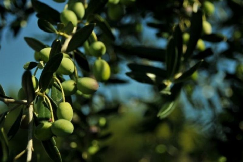 Χασομέρι στα φανάρια
