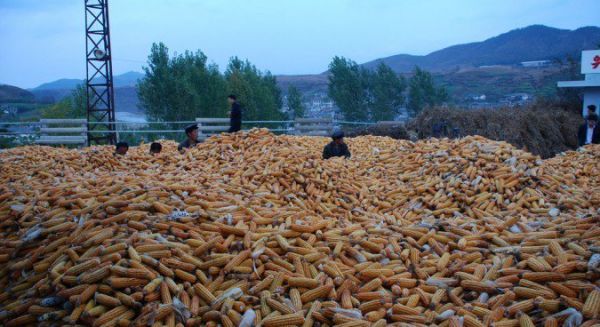 Πώς το street food απαλύνει την πείνα των Βορειοκορεατών