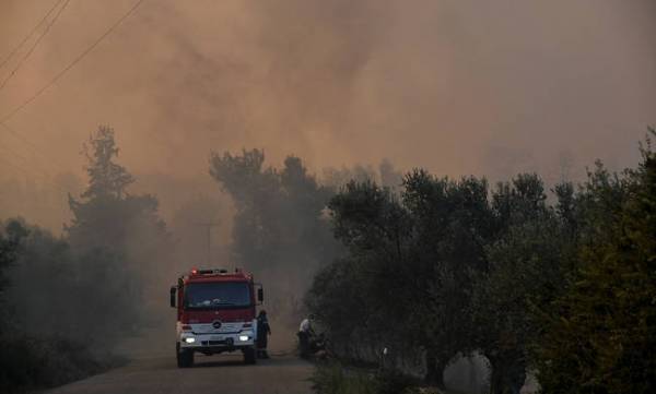 Υπό έλεγχο η φωτιά στην Εύβοια