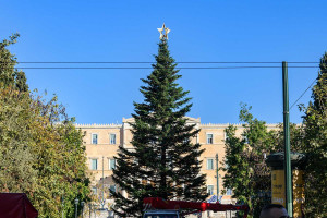 Την Πέμπτη (23/11) ανάβει το Χριστουγεννιάτικο Δέντρο στο Σύνταγμα
