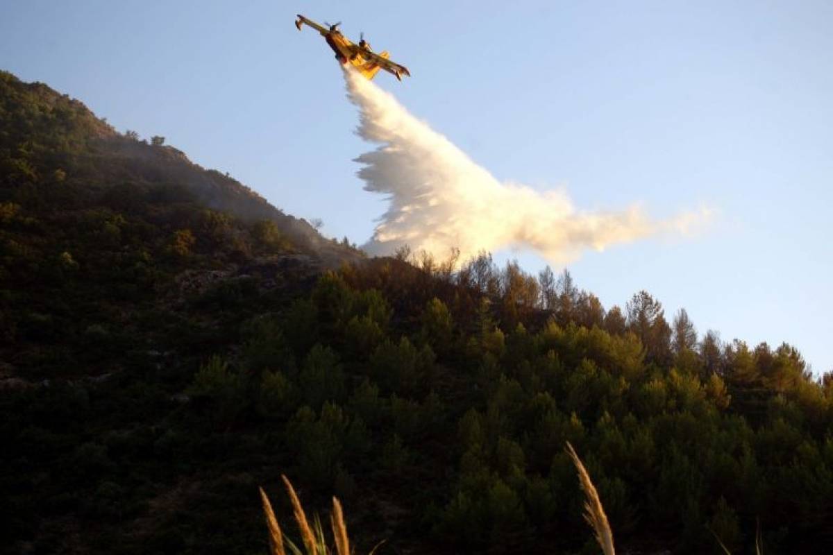 Πύρινο μέτωπο σε περιοχή Natura στην Κέρκυρα