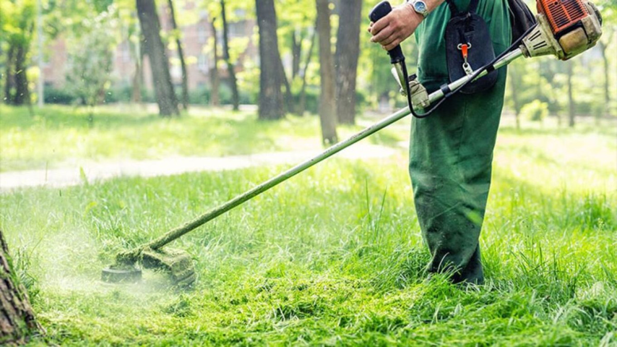 «Εκπνέει» τη Δευτέρα (22/6) η προθεσμία για καθαρισμό και δήλωση οικοπέδων
