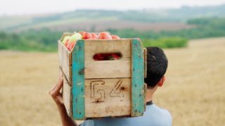 Τι είναι η στρατηγική «Από το αγρόκτημα στο πιάτο»- Ερωτοαπαντήσεις