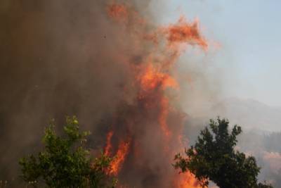 Μαίνεται η πυρκαγιά στην Κέρκυρα- Εκκενώθηκε ο οικισμός Ραχτάδες