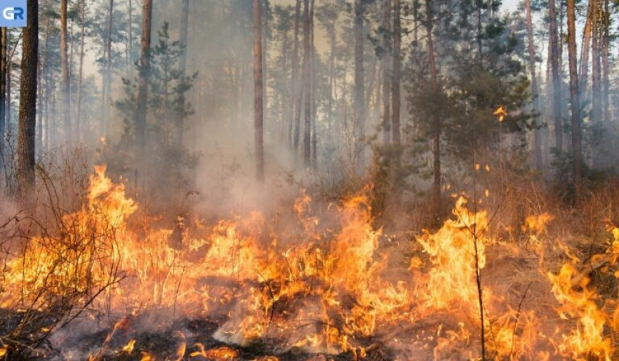 Πυρκαγιές: Κάηκαν 667.000 στρέμματα σε Έβρο-Αττική από το Σάββατο