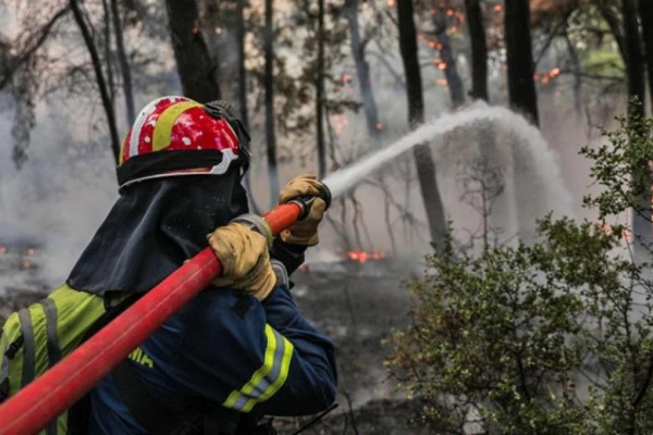 Πυροσβεστική: 57 δασικές πυρκαγιές το τελευταίο 24ωρο