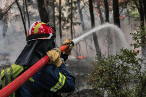 Πυροσβεστική: 57 δασικές πυρκαγιές το τελευταίο 24ωρο