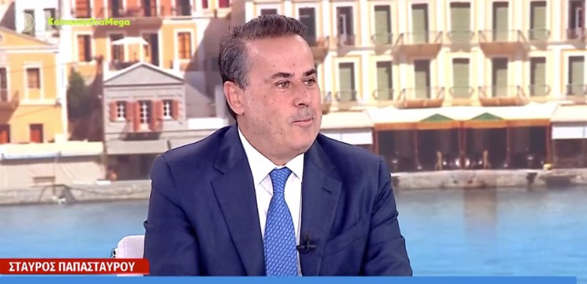Παπασταύρου: Σημαντικό εμπόδιο για την ανταγωνιστικότητα της οικονομίας το ακριβό ρεύμα
