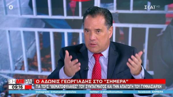 Γεωργιάδης για εκλογή Ανδρουλάκη: Αν ήμουν ο κ.Τσίπρας,θα ανησυχούσα αρκετά