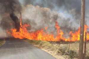 Μεγάλη φωτιά στον Πρόδρομο Βοιωτίας- Ήχησε το 112