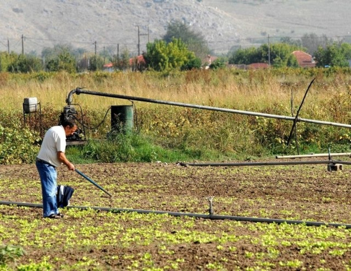 Αύξηση 1,9% του δείκτη τιμών εκροών στη γεωργία-κτηνοτροφία τον Οκτώβριο