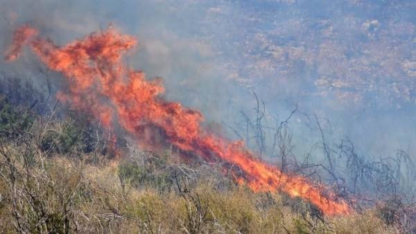 Μαίνεται για τέταρτη ημέρα η πυρκαγιά στους Προμαχώνες Πέλλας