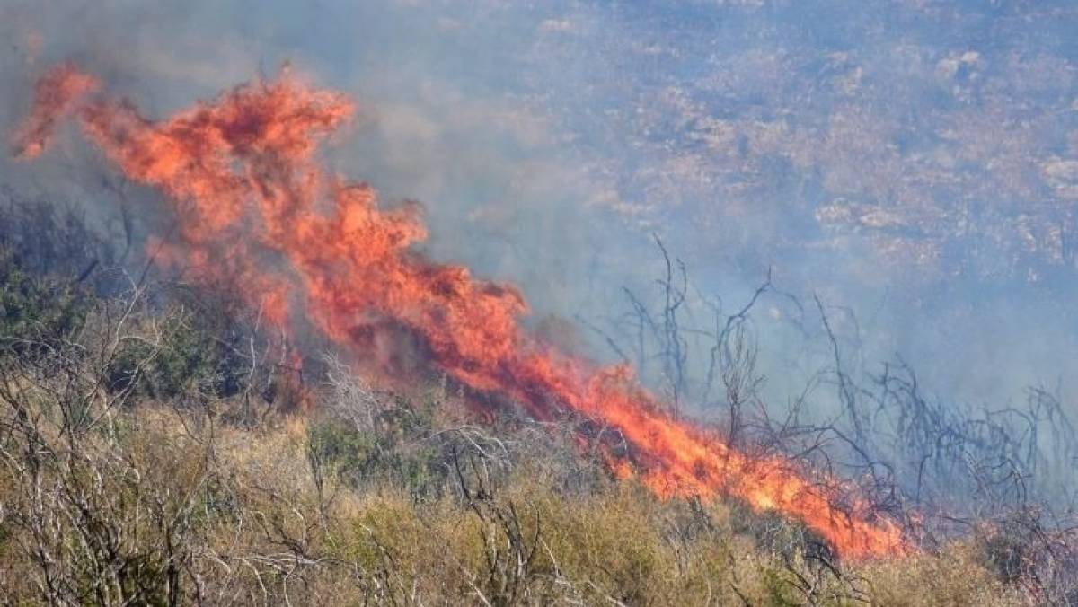 Μαίνεται για τέταρτη ημέρα η πυρκαγιά στους Προμαχώνες Πέλλας