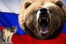 Aντιμέτωπες με την Ρώσικη... αρκούδα Coca Cola, Frigoglass, Αegean και Kleemann