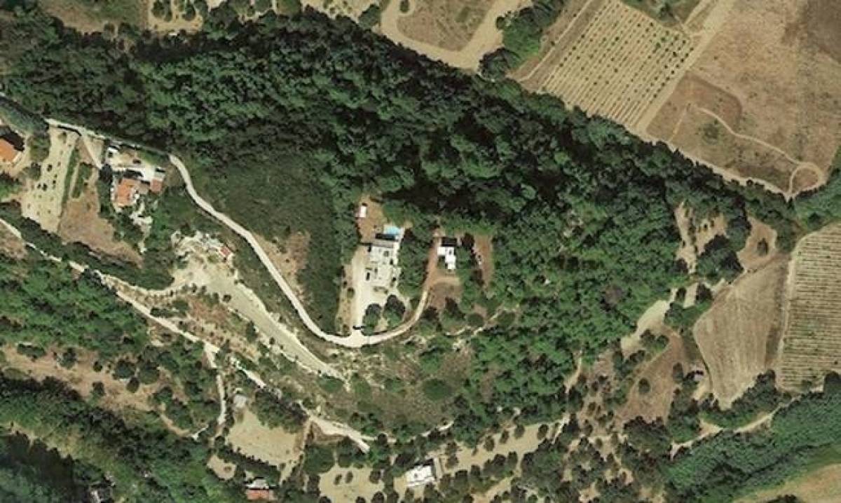 Νέα παράταση για τους δασικούς χάρτες- Οι πιο... αδιάφοροι Δήμοι