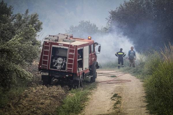 Φωτιά στην περιοχή Σπιάντζα στον Πύργο