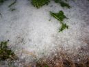 ΕΛΓΑ: Κονδύλια 883 χιλ. ευρώ για δράσεις προστασίας από το χαλάζι