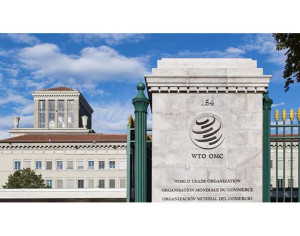 ΠΟΕ: Οι προοπτικές του παγκόσμιου εμπορίου «επιδεινώθηκαν απότομα» λόγω δασμών