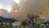 Ανεξέλεγκτη η κατάσταση στην Θάσο, κάηκαν σπίτια απειλούνται χωριά