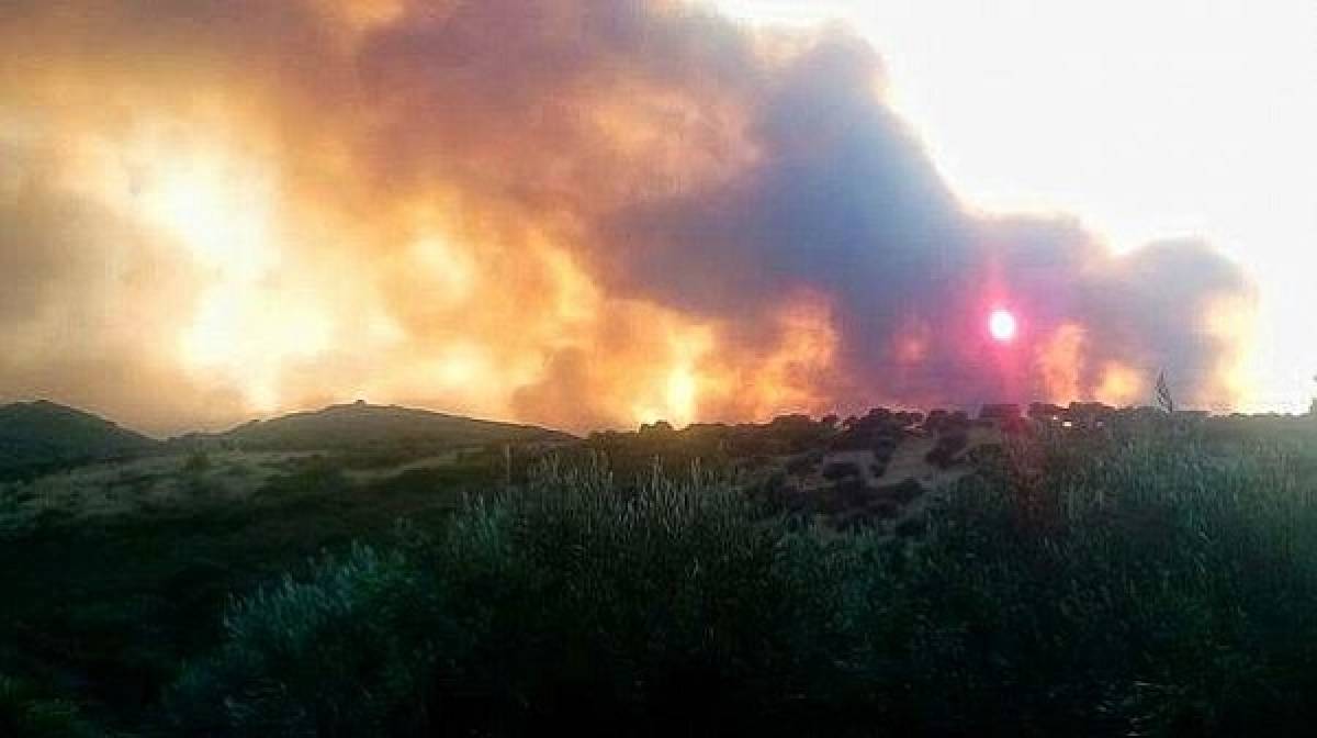 Ανοίγουν ξανά οι δικογραφίες για τις πυρκαγιές σε Κύθηρα, Μάνη