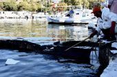 Οικολογική «βόμβα»: Μαύρισαν οι ακτές σε Σαλαμίνα και Πειραϊκή